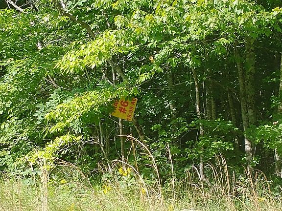 3rd image of 0 Crest View Dr Lot 6