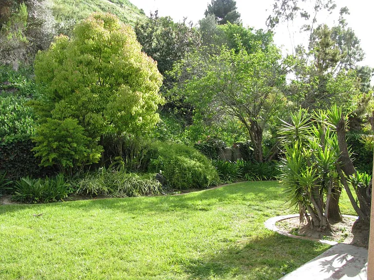 5211 Countryside Dr — Photo 2