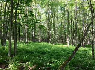 46 Deer Run Rd, Lakeville, PA 18438