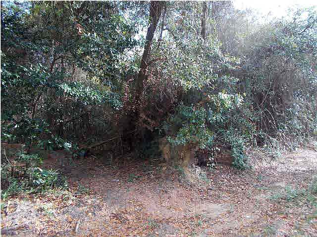 2nd image of 4874 Lamar Dr