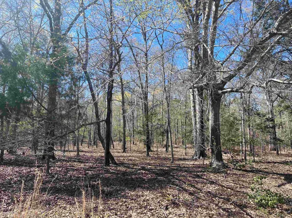 0 Wheeler Rogers Rd, Rupert, GA 31081