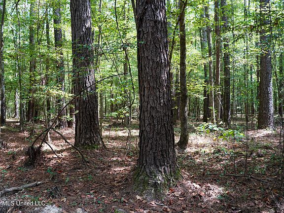 5th image of McIntyre Rd