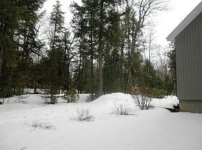 Lightly wooded front yard