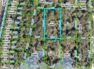 0 Peanut Dr, Webster, FL 33597