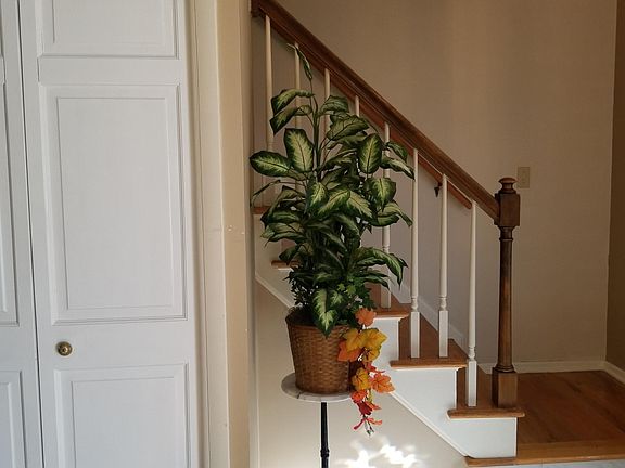 4th image of 1217 Ravenswood Dr