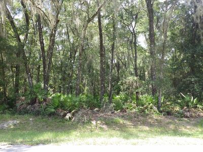 LOT 93 NW 45th Ter, Chiefland, FL, 32626