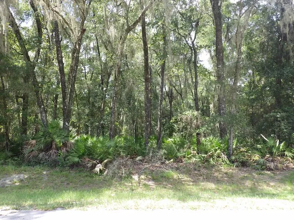 LOT 93 NW 45th Ter, Chiefland, FL 32626
