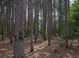 W5642 Carey Rock Rd, Necedah, WI 54646