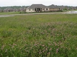 3224 W Rivulet Pass, Springfield, MO 65810