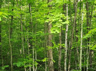 Off Borrie Road, Couderay, WI 54828