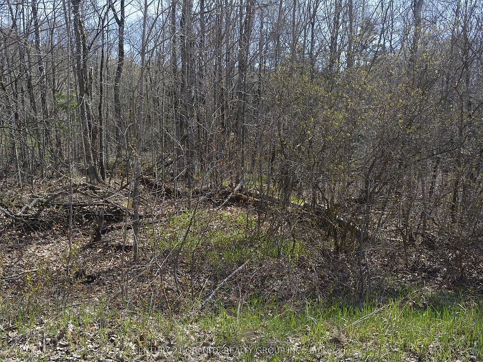 2nd image of 0 Sucie Rd