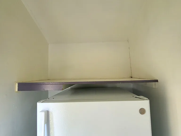 Scullery/Utility Room - Regrigerator and Freezer