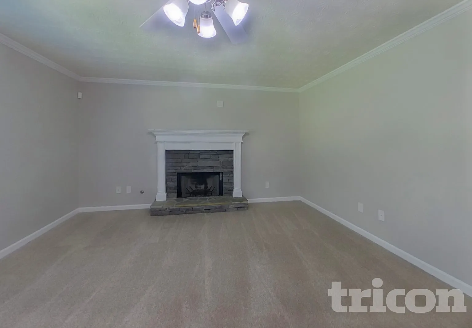 315 Avonlea Dr Covington GA — Photo 3