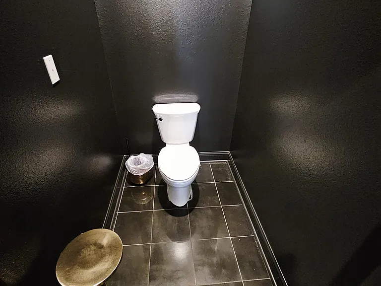 Master Toilet