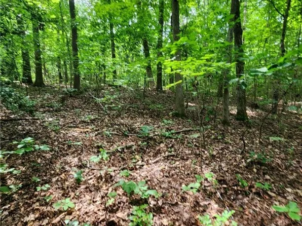 0 Rocky Oak Rd, Powhatan, VA 23139