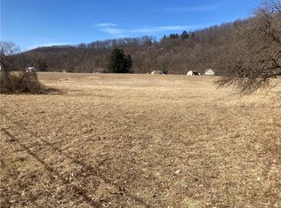 LOT 3 Cotton Hanlon Rd, Odessa, NY 14869
