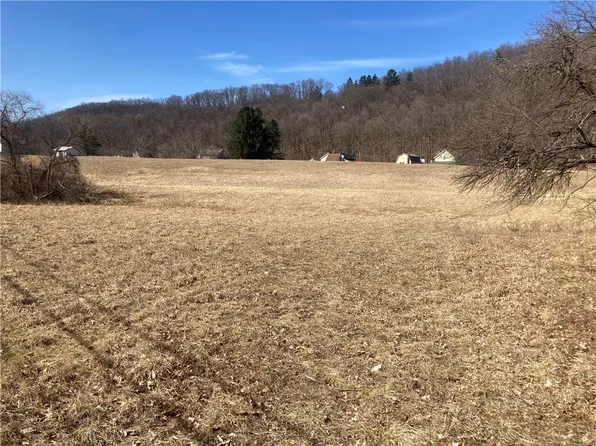 LOT 3 Cotton Hanlon Rd, Odessa, NY 14869