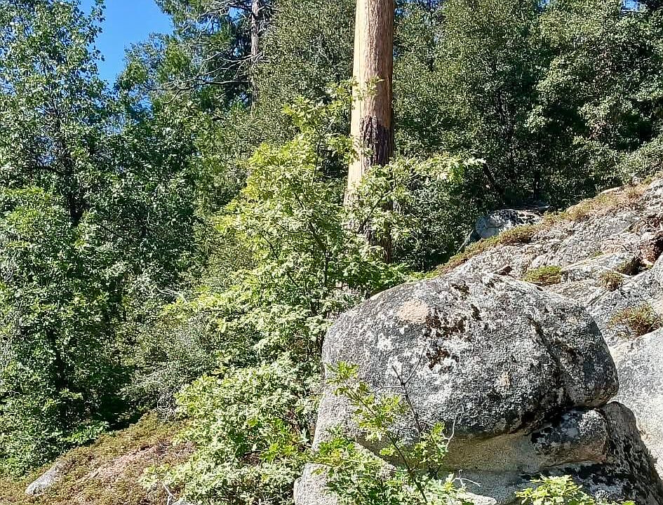 1st image of 67 & 68 Mountain-aire