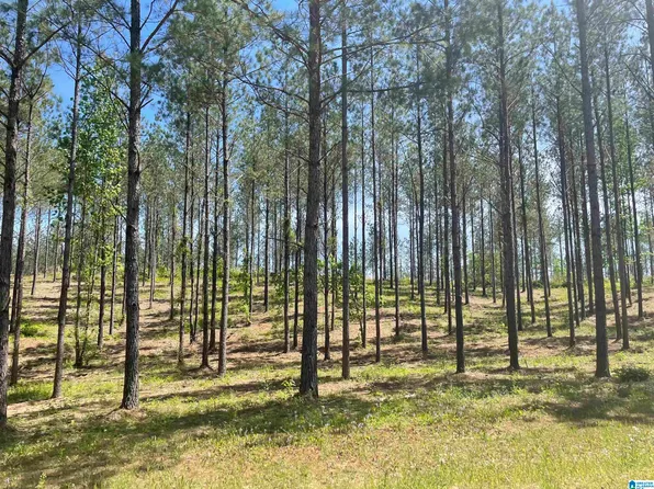 6559 Joinertown Rd #2, Columbiana, AL 35051