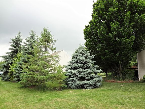 4th image of 12527 Saratoga Ln