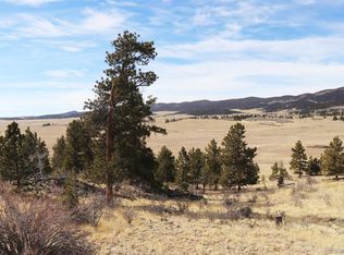 312 Ladigo Ln, Hartsel, CO 80449