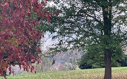 2nd image of Hidden Valley Rd