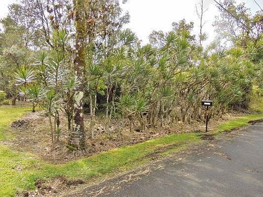 2nd image of Pomaikai St Lot 10