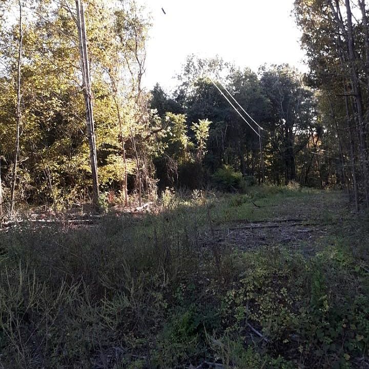 2nd image of 00 Dundrum Ct