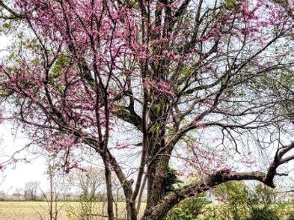 498 W State Highway U, New Madrid, MO 63869