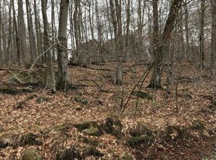 0 Pawnee Dr, Old Forge, NY 13420