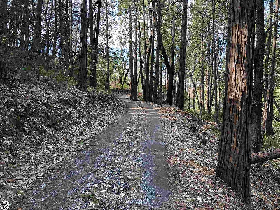 17620 Winterhaven, Twain Harte, CA 95383 MLS 20230153 Zillow