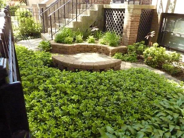 front yard