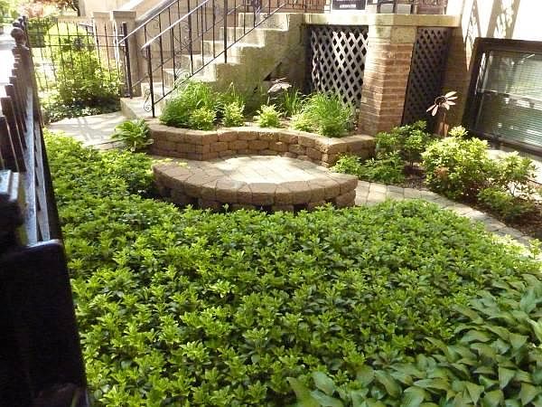 front yard