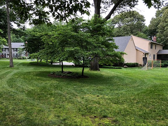 4th image of 242 Ambleside Dr
