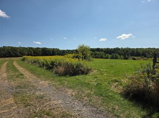 304 Monkey Run Rd, Port Crane, NY 13833