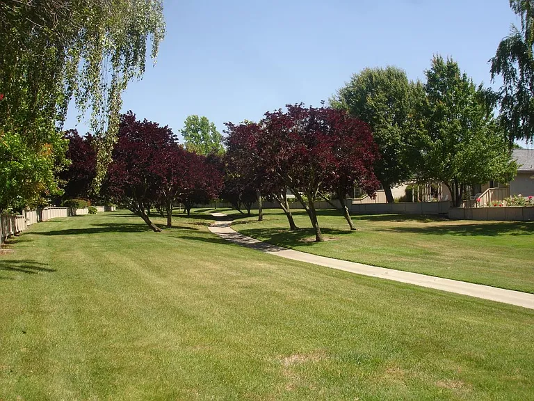 531 Cambrian Way — Photo 22