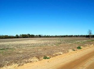 1255 Morgan Rd, Metter, GA 30439