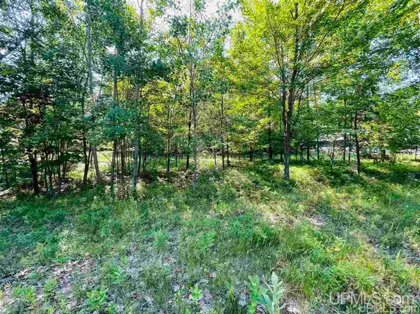 Tbd Tipperary Rd, Gladstone, MI 49837