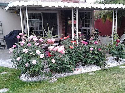 5th image of 4604 Glacier Ave