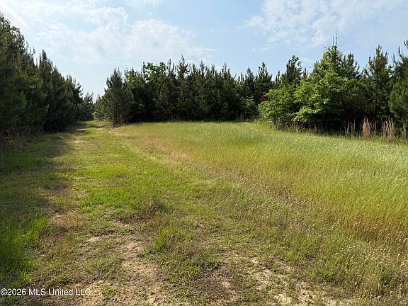 4th image of Scales Rd