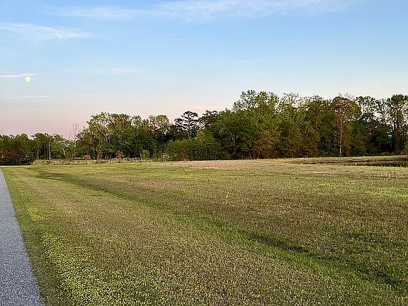 Asphalt driveway begins line