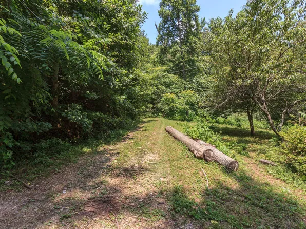 Shady Cove Rd, Caryville, TN 37714
