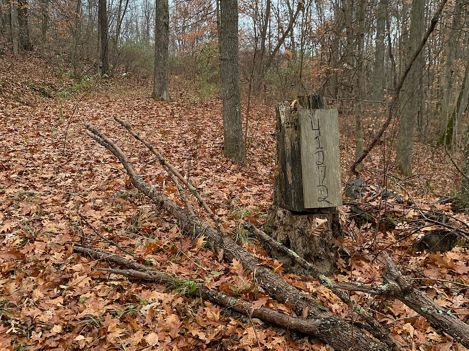 2nd image of 41272 Township Road 78
