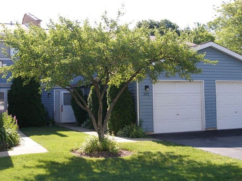1st image of 1073 E Cottonwood Way