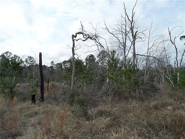 2nd image of 165 N Buckhorn Dr