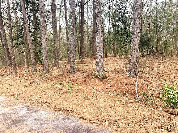 3rd image of 112 Hillside Court