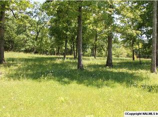 Portobello Rd, Fort Payne, AL 35967