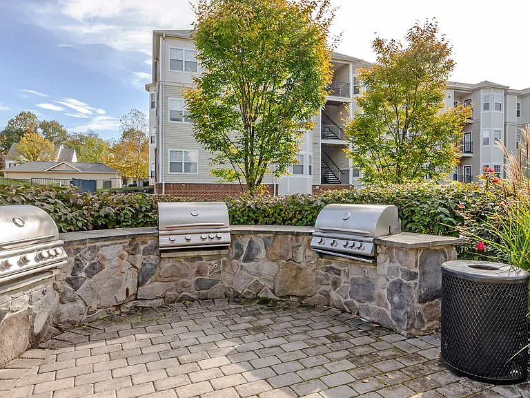 Gas Grill and Picnic Area