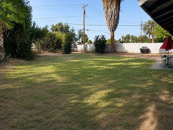 Back yard