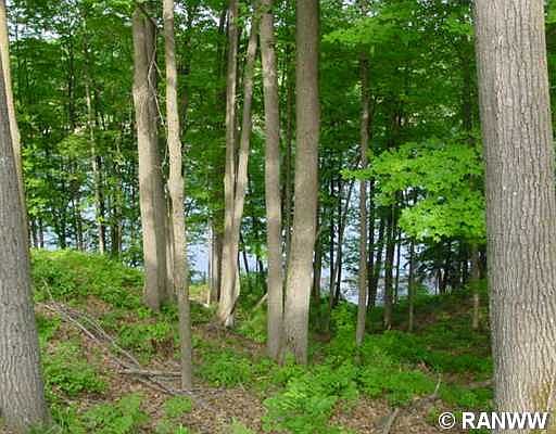 3rd image of Lot 2 Flambeau Road